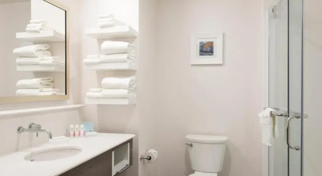 Четырёхместный люкс Hampton Inn & Suites Grand Rapids Downtown