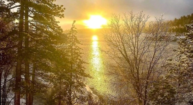 03 - Grizzly Bear 1 Bedroom Home by Redawning, Rezerwuj Dom wakacyjny Big Bear Lake Stany Zjednoczone