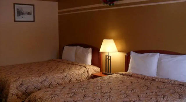 Четырёхместный номер Standard Forest Plaza Motel