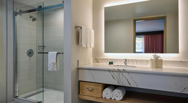 Двухместный номер Standard Hotel Zessa Orange County Airport, a DoubleTree by Hilton