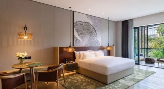 Camera doppia Standard Melia Chongqing