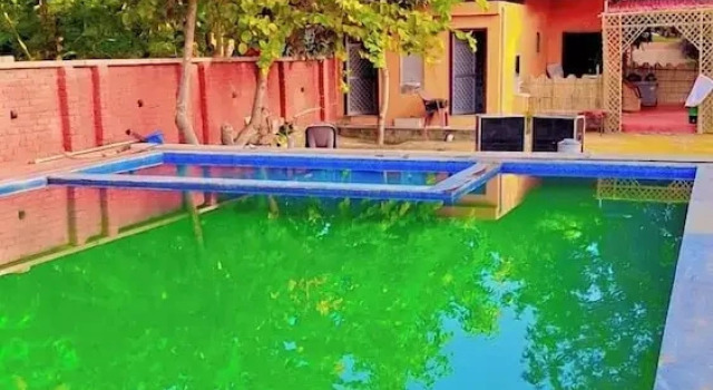 Blue Tree Resort, Varaa Lomakeskus Pushkar Rajasthan, lähellä Pushkar Fort