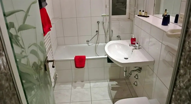 Номер Standard Hotel-Restaurant Goldenes Lamm