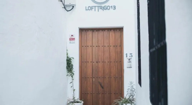 Lofts Trigo 13