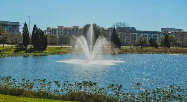 Stylish 1BR | International Plaza + Saltwater Pool