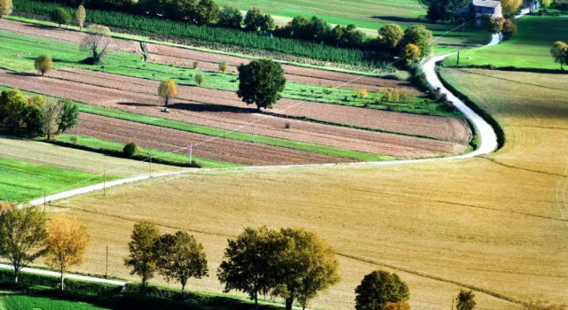 Camera Standard B&B al Castello di Fabro