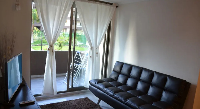 Apartamentos Alma Surire