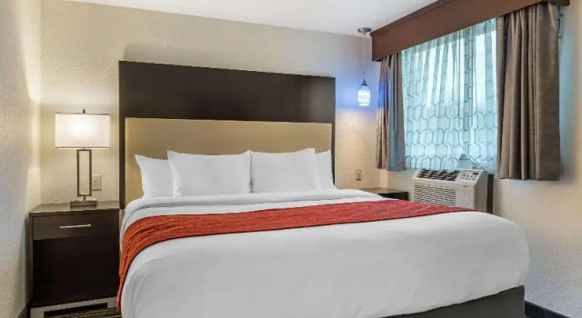 Номер Standard Comfort Inn & Suites Tigard near Washington Square