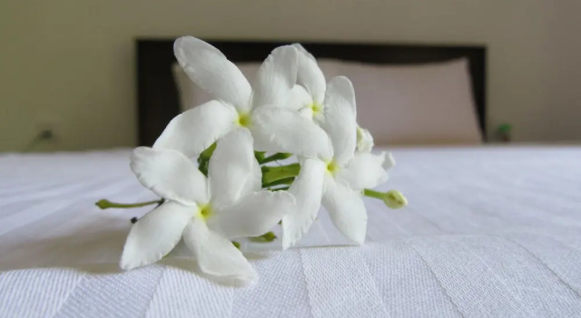 Номер Deluxe Hotel G Excursion
