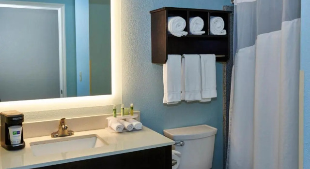 Люкс Holiday Inn Express & Suites Birmingham South - Pelham by IHG