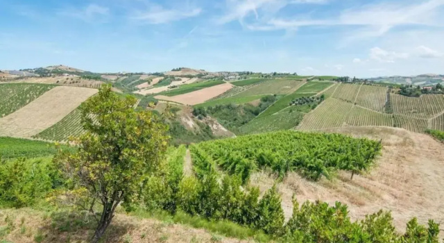 Апартаменты Comfort c 1 комнатой Charming Apartment in Ascoli Piceno Near Village