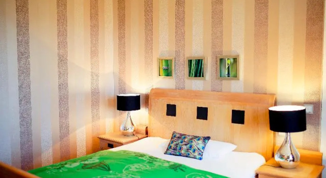 Одноместный номер Standard Hotel Gut Bardenhagen