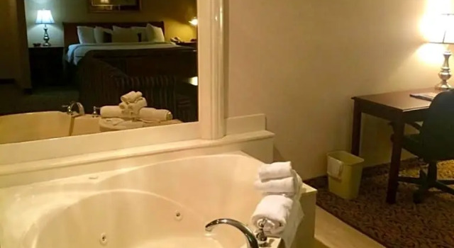 Люкс Wingate by Wyndham Detroit Metro Airport