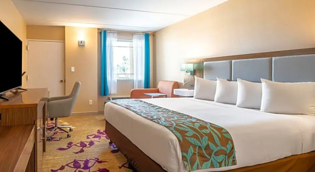 Номер Standard Hotel Tucson City Center