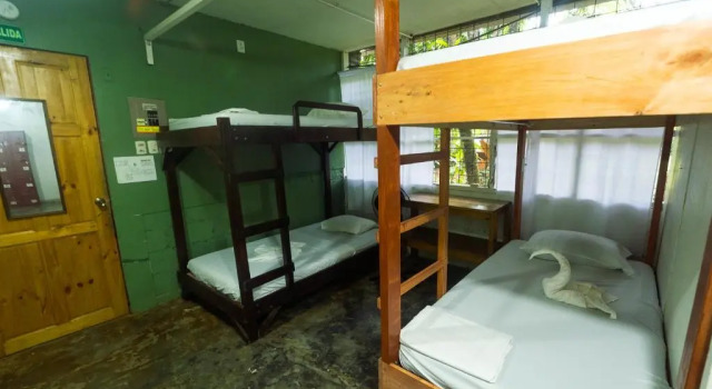 Кровать в общем номере Corcovado Foundation Biohostel