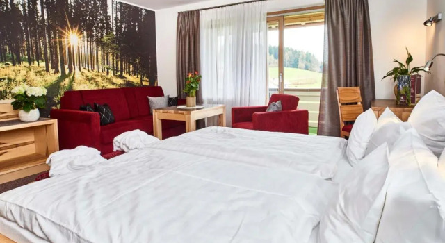Двухместный номер Standard с балконом Hotel der Bäume