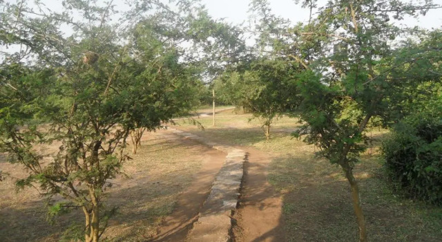 Номер Economy Engiri Game Lodge and Campsite