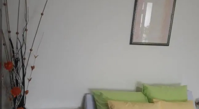 Апартаменты Apartman BREZA 034
