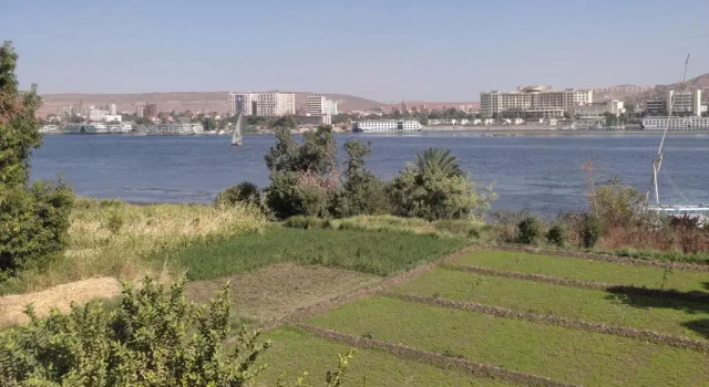 Номер Standard Nubian Holiday House Aswan