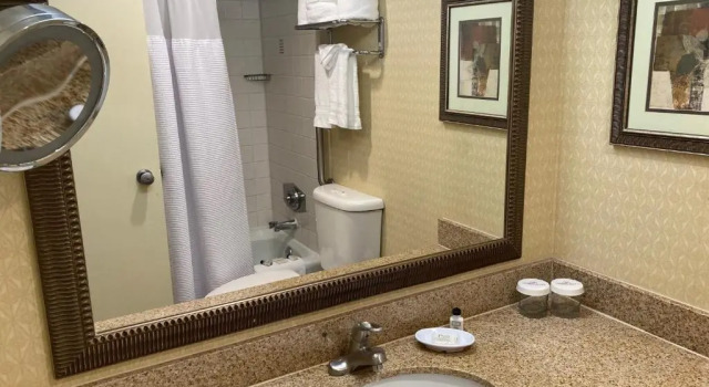 Номер Standard Crowne Plaza Austin