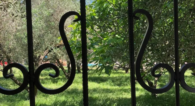 Бунгало c 1 комнатой с балконом Rajana Bungalow 2olive House