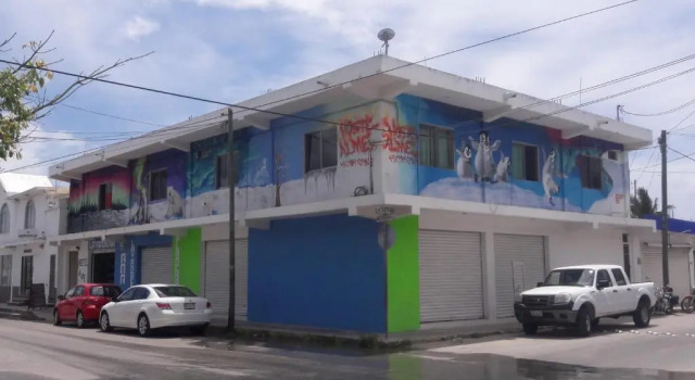 Кровать в общем номере (женский номер) Alme Hostel Playa del Carmen