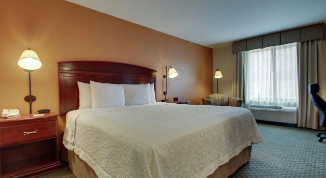 Двухместный номер Standard Hampton Inn & Suites Denver Littleton