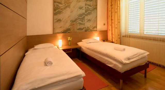 Двухместный номер Standard с видом на горы Hotel Bartoš