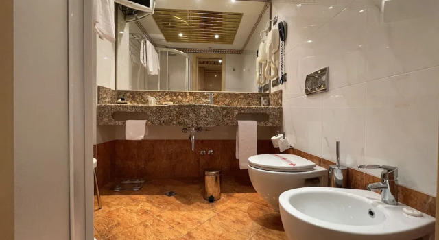 Одноместный номер Standard Hotel Wagner