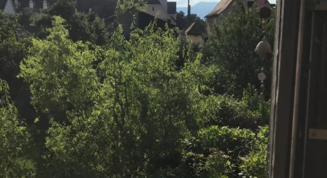 La maison rouge, Rezervasyon Otel Haut-Rhin otoparklı oteller, Otopark