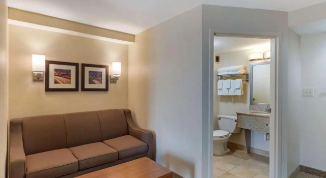 Люкс c 1 комнатой Comfort Inn Kennesaw