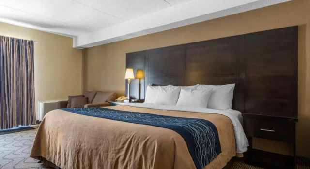 Номер Standard Цокольный этаж Comfort Inn