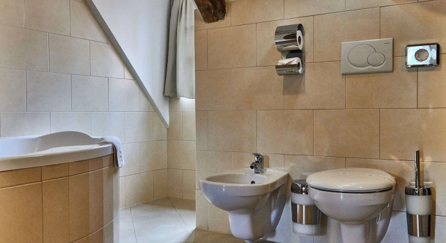 Апартаменты Three Golden Crowns Apartments