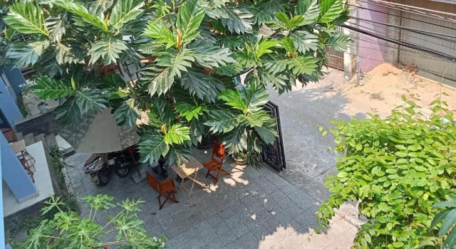 Люкс с балконом Smart Garden Homestay