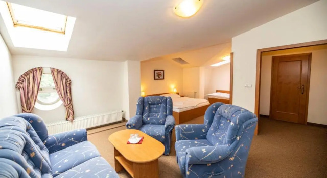 Трёхместный номер Standard Hotel Paris