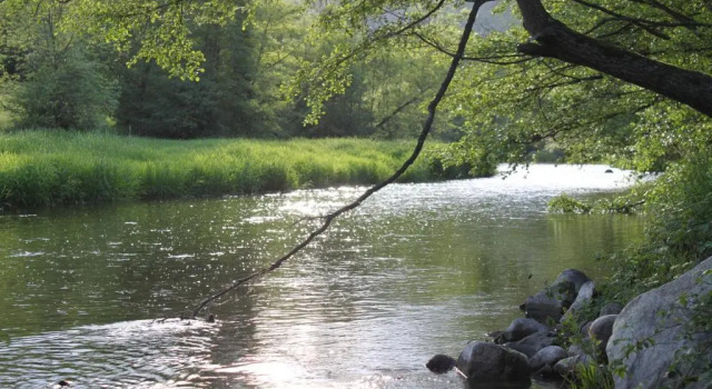Camping Les Berges Du Doux, Reserva ahora Camping Colombier-le-Vieux Ardèche