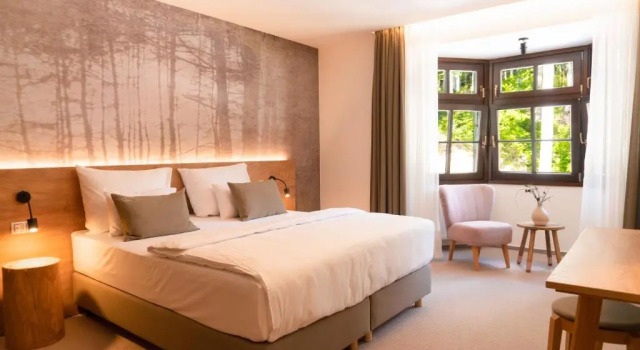 Номер Superior Boutique Hotel Soyka