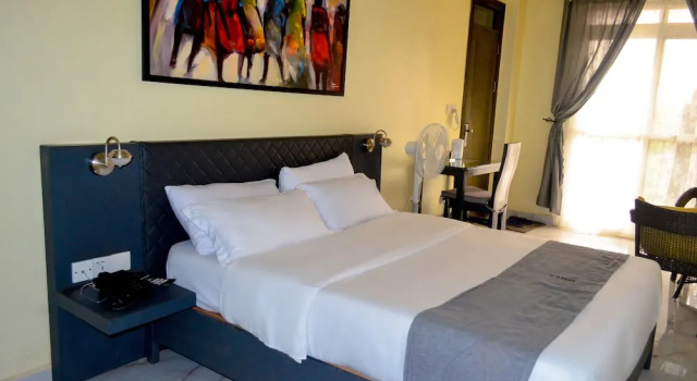 Deluxe cameră Dana Hotel