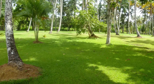 The Place to Enjoy Life!!!, Rezerwuj Hotel Los Róbalos Samana