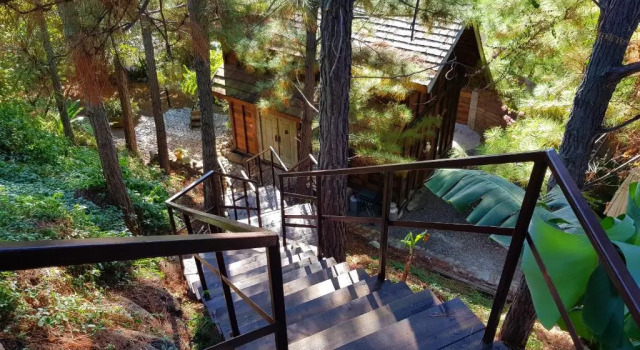 Шале Chalet De Tahiti