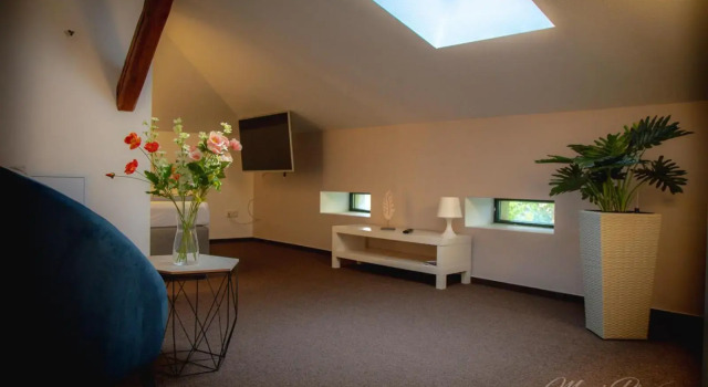 Villa Prestige, Réserver Villa Villas à Saxe-Anhalt, Villa