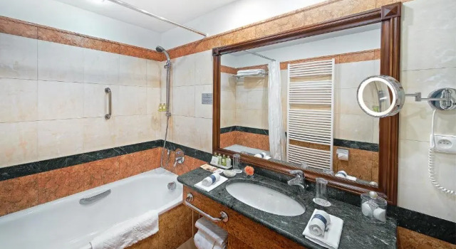 Двухместный номер Superior Carlsbad Plaza Medical Spa & Wellness hotel