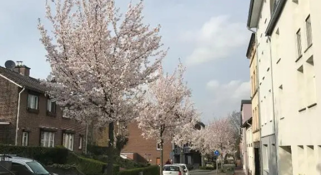 Vaals Aachen Suite Apartment, Prenota Appartamento Vaals Limburgo Meridionale