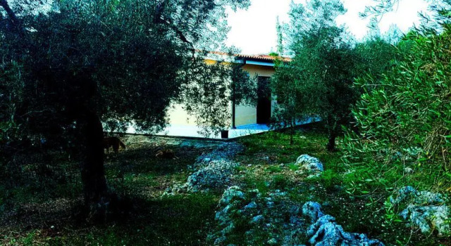 Villa Olivia, Забронировать Вилла Отели Лацио с бассейном, Бассейн