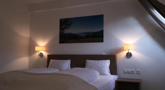 Номер Economy Hotel Restaurant Platzer