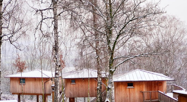 Коттедж Hotel Waldquelle - Baumhaushotel Aerzen