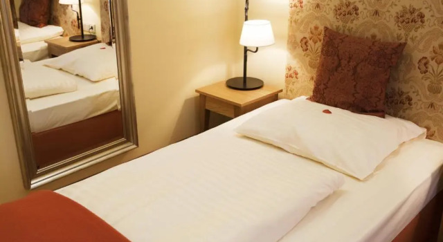 Одноместный номер Standard Hotel Villa Florentina