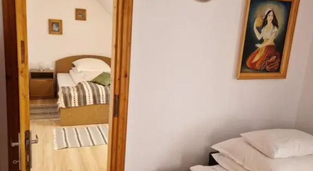 Pensiunea Irina, Đặt Khách sạn Khách sạn 3 sao ở Botuş, 3*