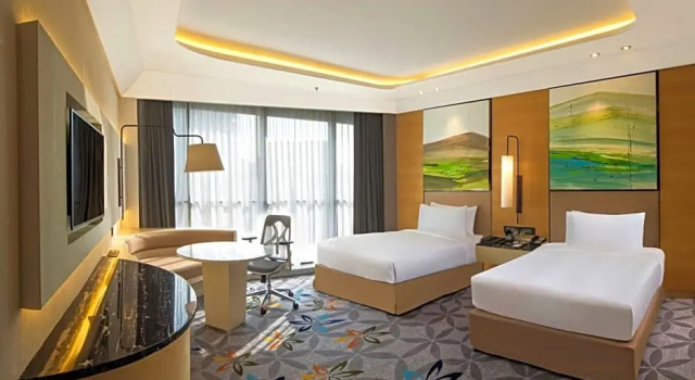 Двухместный номер Executive DoubleTree by Hilton Ahmedabad
