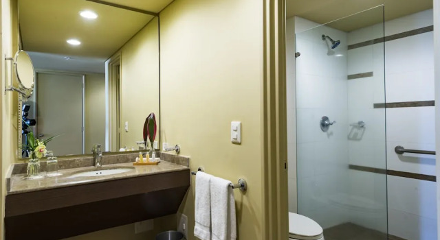 Номер Standard Movich Hotel de Pereira